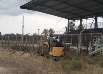 Mini escavatore CAT al lavoro lungo il perimetro del campo sportivo di Pedalino, accanto alla tribuna metallica