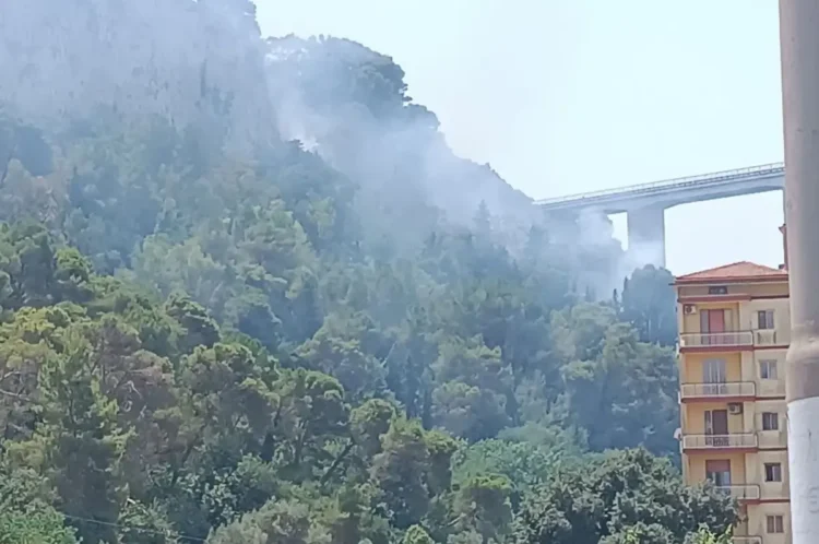 Fumo che si alza dalla pineta di Monserrato a Modica durante l'incendio boschivo, con il viadotto e alcuni edifici sullo sfondo