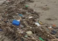 Rifiuti plastici e detriti accumulati sulla sabbia di una spiaggia: bottiglie, taniche e canne intrecciate in un lungo cumulo
