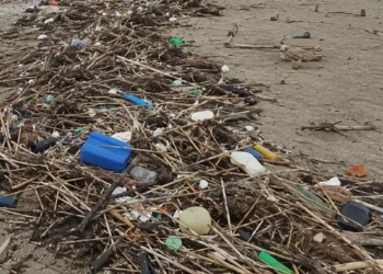 Rifiuti plastici e detriti accumulati sulla sabbia di una spiaggia: bottiglie, taniche e canne intrecciate in un lungo cumulo