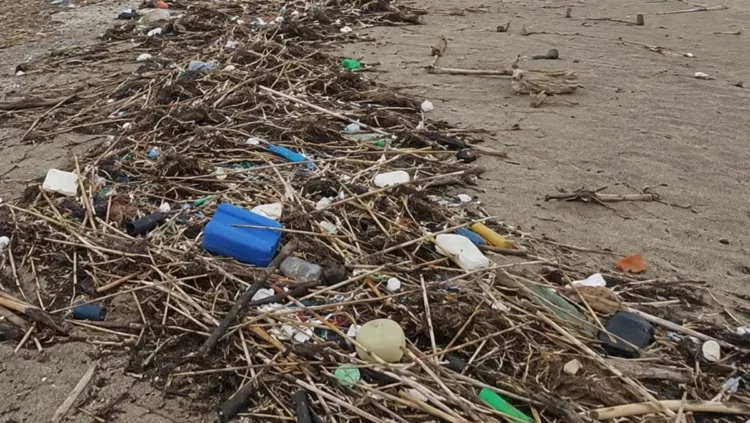 Rifiuti plastici e detriti accumulati sulla sabbia di una spiaggia: bottiglie, taniche e canne intrecciate in un lungo cumulo