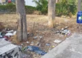 Rifiuti abbandonati tra gli alberi in un'area verde della Villa Margherita di Ragusa, con erba secca e cestini per la raccolta differenziata sullo sfondo