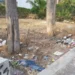 Rifiuti abbandonati tra gli alberi in un'area verde della Villa Margherita di Ragusa, con erba secca e cestini per la raccolta differenziata sullo sfondo