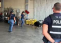 Servizio congiunto delle forze di polizia nell'area del Mercato ortofrutticolo: controllati 24 veicoli, identificate 33 persone e contestate sei sanzioni amministrative.