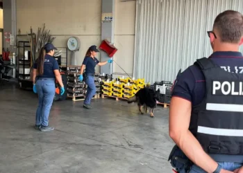 Servizio congiunto delle forze di polizia nell'area del Mercato ortofrutticolo: controllati 24 veicoli, identificate 33 persone e contestate sei sanzioni amministrative.