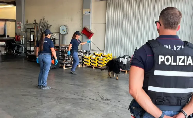 Servizio congiunto delle forze di polizia nell'area del Mercato ortofrutticolo: controllati 24 veicoli, identificate 33 persone e contestate sei sanzioni amministrative.