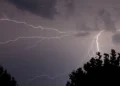Fulmini ramificati solcano il cielo notturno sopra le chiome scure degli alberi durante un temporale.