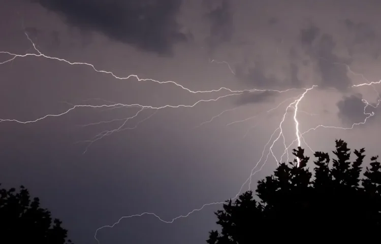 Fulmini ramificati solcano il cielo notturno sopra le chiome scure degli alberi durante un temporale.