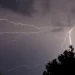 Fulmini ramificati solcano il cielo notturno sopra le chiome scure degli alberi durante un temporale.