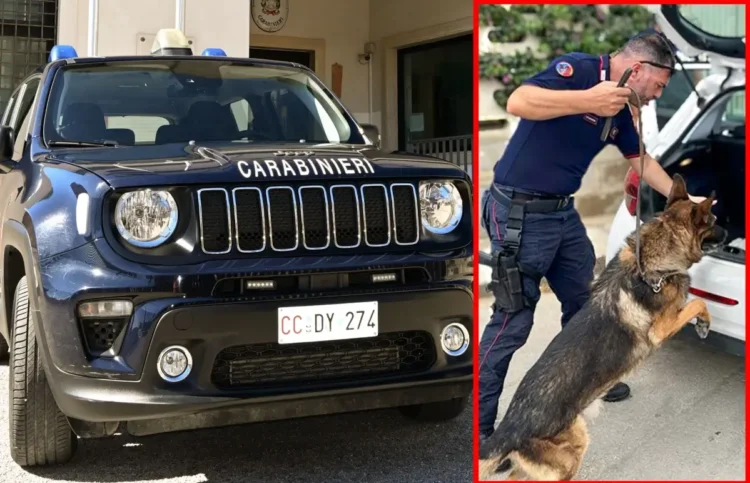 Auto dei carabinieri e cane antidroga al lavoro durante un controllo del territorio a Ispica
