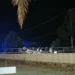 Automobile capovolta di notte dietro un recinto in cemento, persone e mezzi di soccorso sul posto.