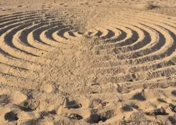 Cerchi concentrici tracciati nella sabbia chiara, visti dall'alto, con impronte intorno ai bordi