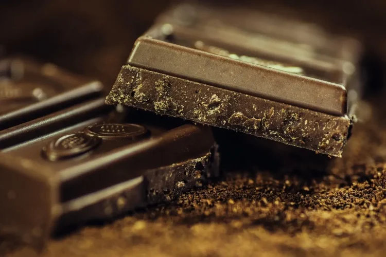 Tavolette di cioccolato fondente spezzate su polvere di cacao, con grana irregolare visibile sul bordo di frattura