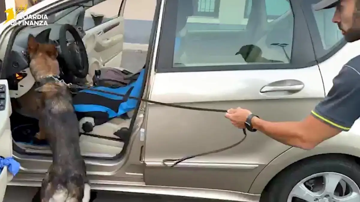 Unità cinofila della Guardia di Finanza ispeziona l'abitacolo di un'auto durante un controllo antidroga