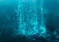 Colonna di bolle di gas che risale dal fondale marino a 76 metri di profondità al largo di Panarea, ripresa dal ROV l'11 luglio 2026