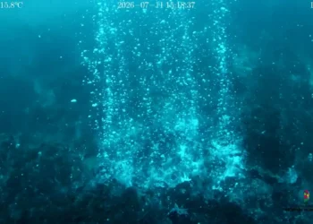 Colonna di bolle di gas che risale dal fondale marino a 76 metri di profondità al largo di Panarea, ripresa dal ROV l'11 luglio 2026