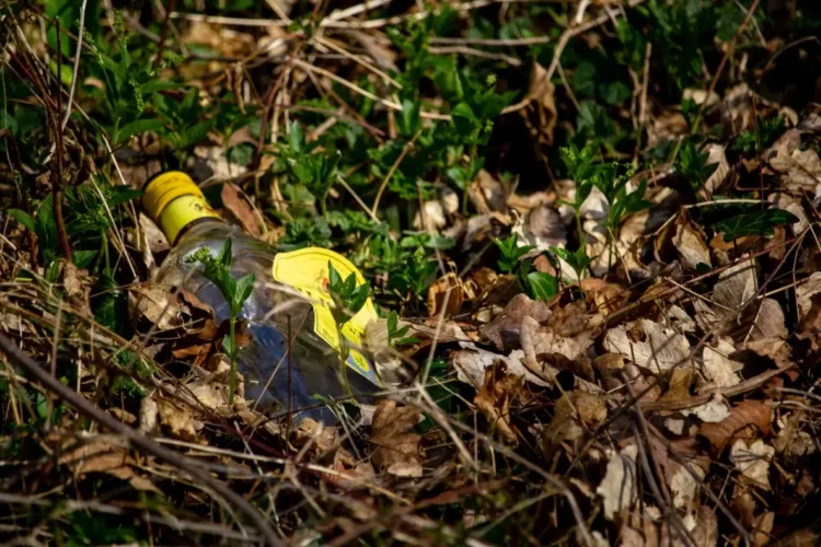 Bottiglia di plastica abbandonata tra foglie secche, erbacce e vegetazione in un'aiuola