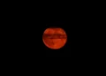 Luna dal colore rosso-arancio nel cielo notturno, con una sottile fascia d'ombra visibile sul disco lunare