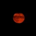 Luna dal colore rosso-arancio nel cielo notturno, con una sottile fascia d'ombra visibile sul disco lunare