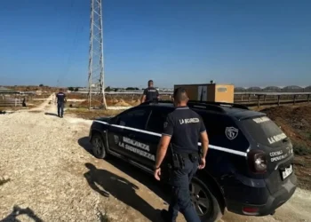 Due guardie giurate dell'istituto La Sicurezza ispezionano una stradina sterrata accanto a un parco fotovoltaico in aperta campagna.