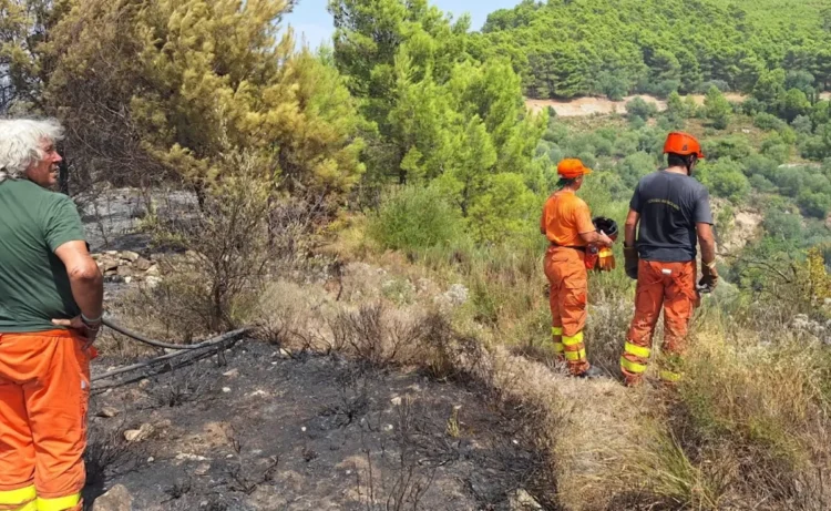 Squadre antincendio in tuta arancione osservano un'area boschiva bruciata su un versante collinare