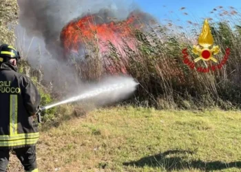 Vigile del fuoco spegne con un getto d'acqua le fiamme tra i canneti, fumo nero sullo sfondo