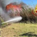 Vigile del fuoco spegne con un getto d'acqua le fiamme tra i canneti, fumo nero sullo sfondo