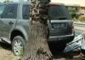 Suv Land Rover incidentato contro una palma lungo la statale 115 a Vittoria, cartello stradale divelto sullo sfondo