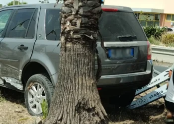 Suv Land Rover incidentato contro una palma lungo la statale 115 a Vittoria, cartello stradale divelto sullo sfondo