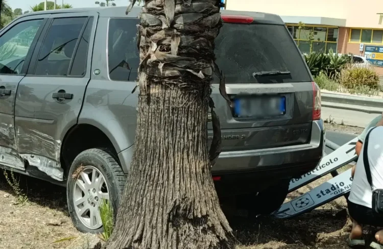 Suv Land Rover incidentato contro una palma lungo la statale 115 a Vittoria, cartello stradale divelto sullo sfondo