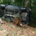 Vigile del fuoco a fianco di un'auto rovesciata sul fianco in una scarpata