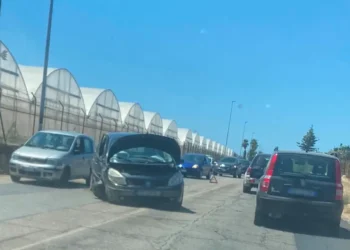 Auto scura con cofano aperto e frontale danneggiato ferma sulla provinciale, coda di veicoli e serre sullo sfondo.