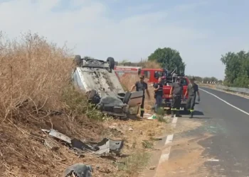 Auto ribaltata tra la vegetazione a bordo strada, vigili del fuoco accanto al mezzo dei pompieri