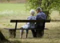 Due anziani seduti su una panchina in un parco, visti di spalle, circondati da vegetazione estiva