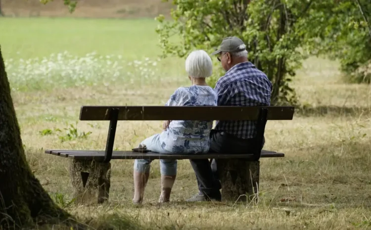 Due anziani seduti su una panchina in un parco, visti di spalle, circondati da vegetazione estiva