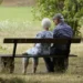 Due anziani seduti su una panchina in un parco, visti di spalle, circondati da vegetazione estiva