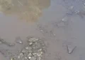 Pozza d'acqua torbida su asfalto dissestato, pietre e detriti a terra, recinzione in rete metallica sullo sfondo