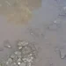 Pozza d'acqua torbida su asfalto dissestato, pietre e detriti a terra, recinzione in rete metallica sullo sfondo