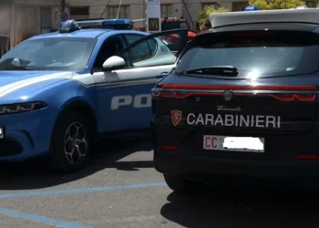 Un'auto della Polizia di Stato e un'Alfa Romeo Tonale dei Carabinieri affiancate in un parcheggio all'aperto