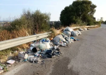 Cumuli di rifiuti abbandonati lungo il guardrail di una strada, con sterpaglie e alberi sulla carreggiata