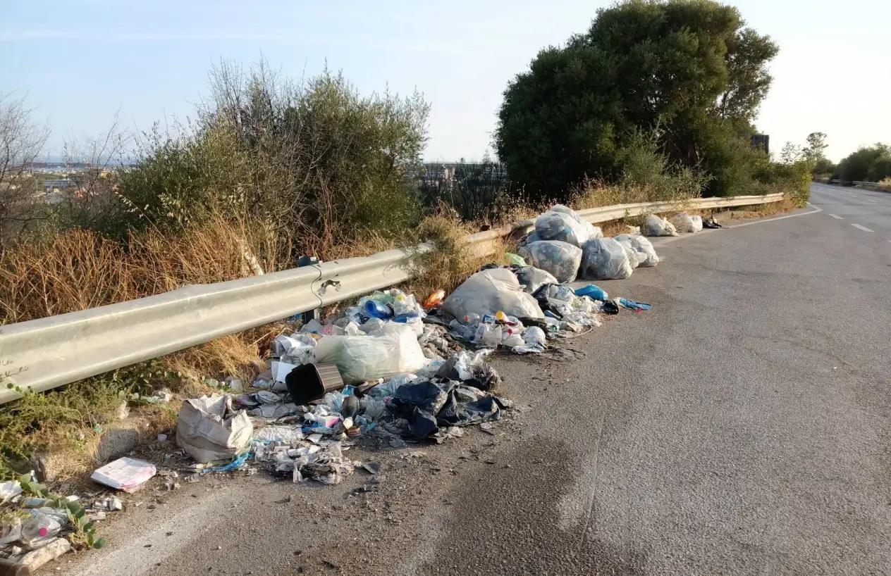Modica-Pozzallo, rifiuti e alberi in strada nella zona industriale