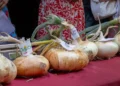 Cipolle di Giarratana a bulbo piatto allineate su un tavolo con tovaglia rossa durante la sagra, con cartellini identificativi dei produttori.