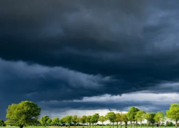 Nuvoloni scuri e minacciosi sopra un filare di alberi verdi e un campo aperto, poco prima di un temporale.