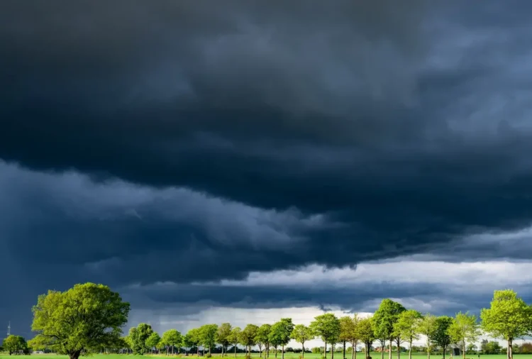 Nuvoloni scuri e minacciosi sopra un filare di alberi verdi e un campo aperto, poco prima di un temporale.