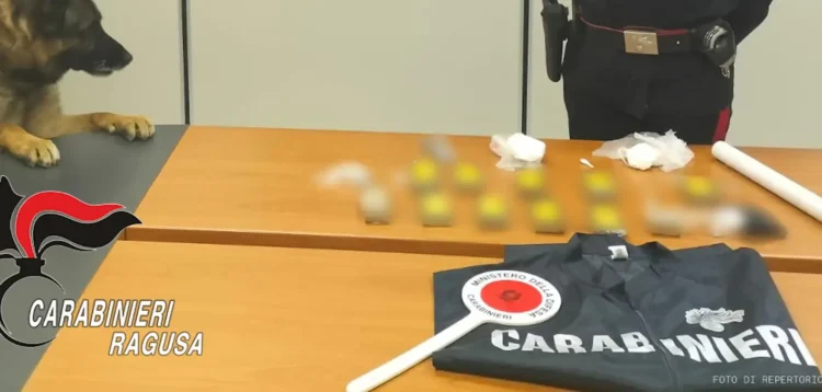 Dosi di cocaina sequestrate su un tavolo, con un cane antidroga e un militare dei Carabinieri sullo sfondo