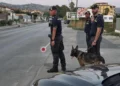 Militari della Guardia di Finanza con un cane antidroga durante un controllo su strada