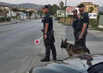 Militari della Guardia di Finanza con un cane antidroga durante un controllo su strada