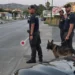 Militari della Guardia di Finanza con un cane antidroga durante un controllo su strada
