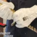 Mani con guanti da lavoro bianchi tengono un piccolo coccodrillo sequestrato a Santa Croce Camerina, con logo Carabinieri Ragusa