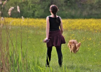Una donna vista di spalle con il guinzaglio in mano cammina in un prato fiorito, poco dietro al suo cane dal pelo fulvo